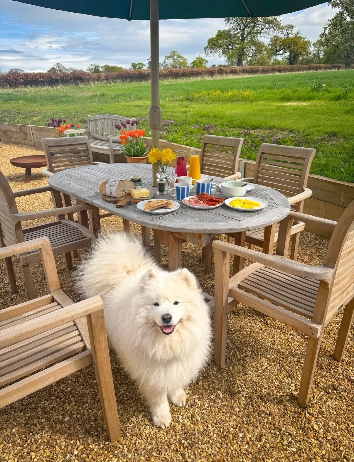 STAY | A week of local charm, coast, and culture
 
We have some last minute availability in Dairy Cottage from 27th June&ndash;4th July. Fancy living like a local&hellip;?
 
Start your weekend with coffee at the Walled Garden, the @iicommon caf&eacut