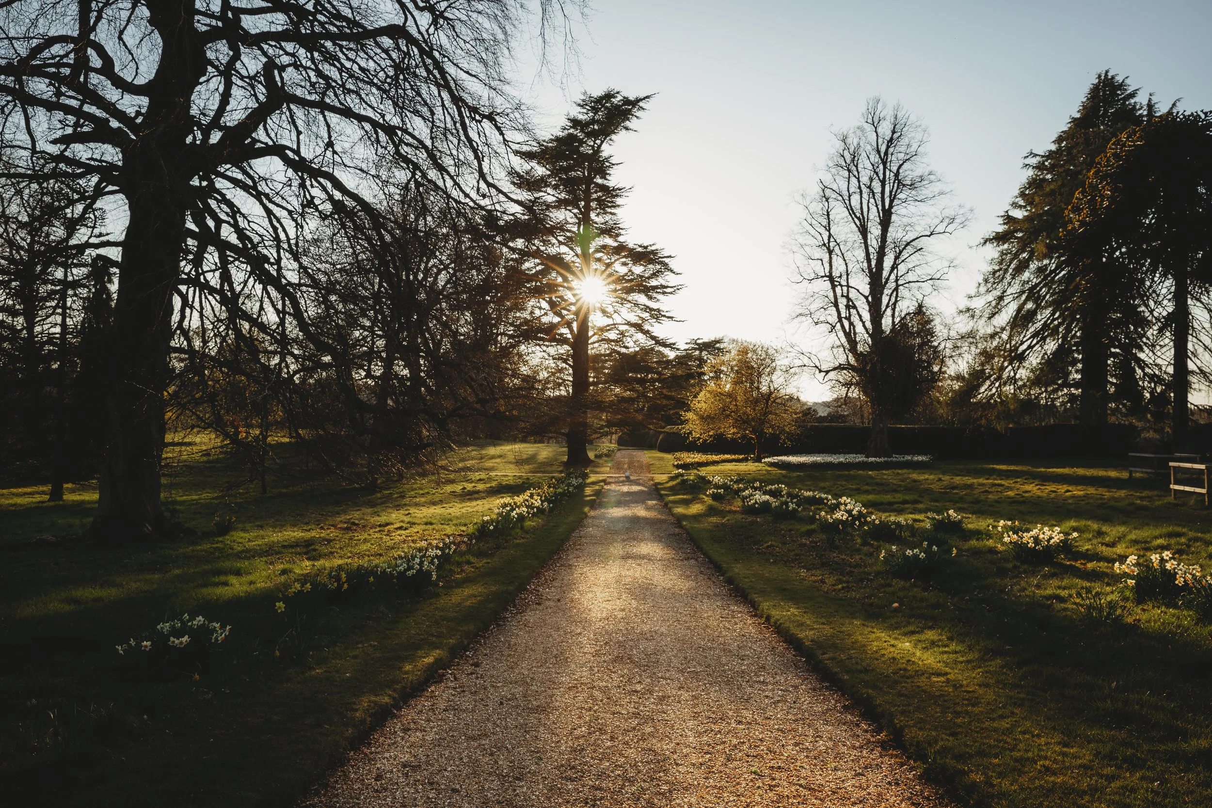 March’s Garden Update