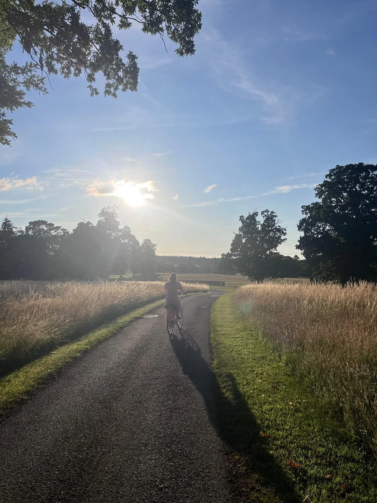 HOLIDAY LETS | We&rsquo;ve had a whirlwind of a summer and forgotten to share some of those precious moments. 

Sunsets, family, laughter, and of course dogs! Lots of happy memories in our holiday lets.