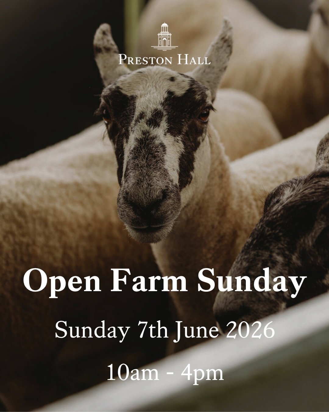 EVENT | Open Farm Sunday is back for 2026 at Preston Hall Farm, Rosemains 🌾🚜

We&rsquo;re delighted to once again open our gates for @leaf_farming Open Farm Sunday &mdash; a free, family-friendly event giving visitors the chance to learn more about