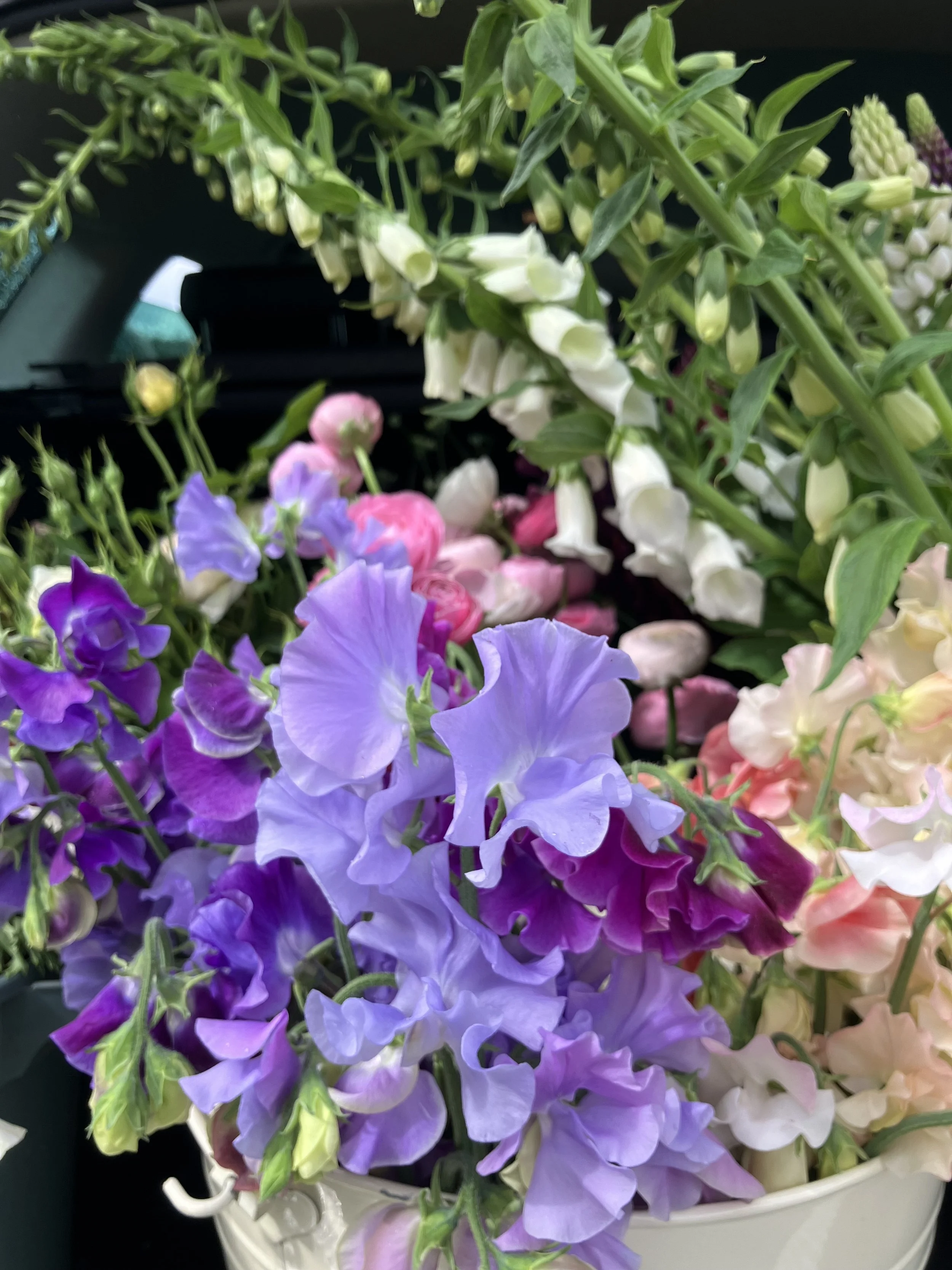 Rosie Louise Cut Flowers - June