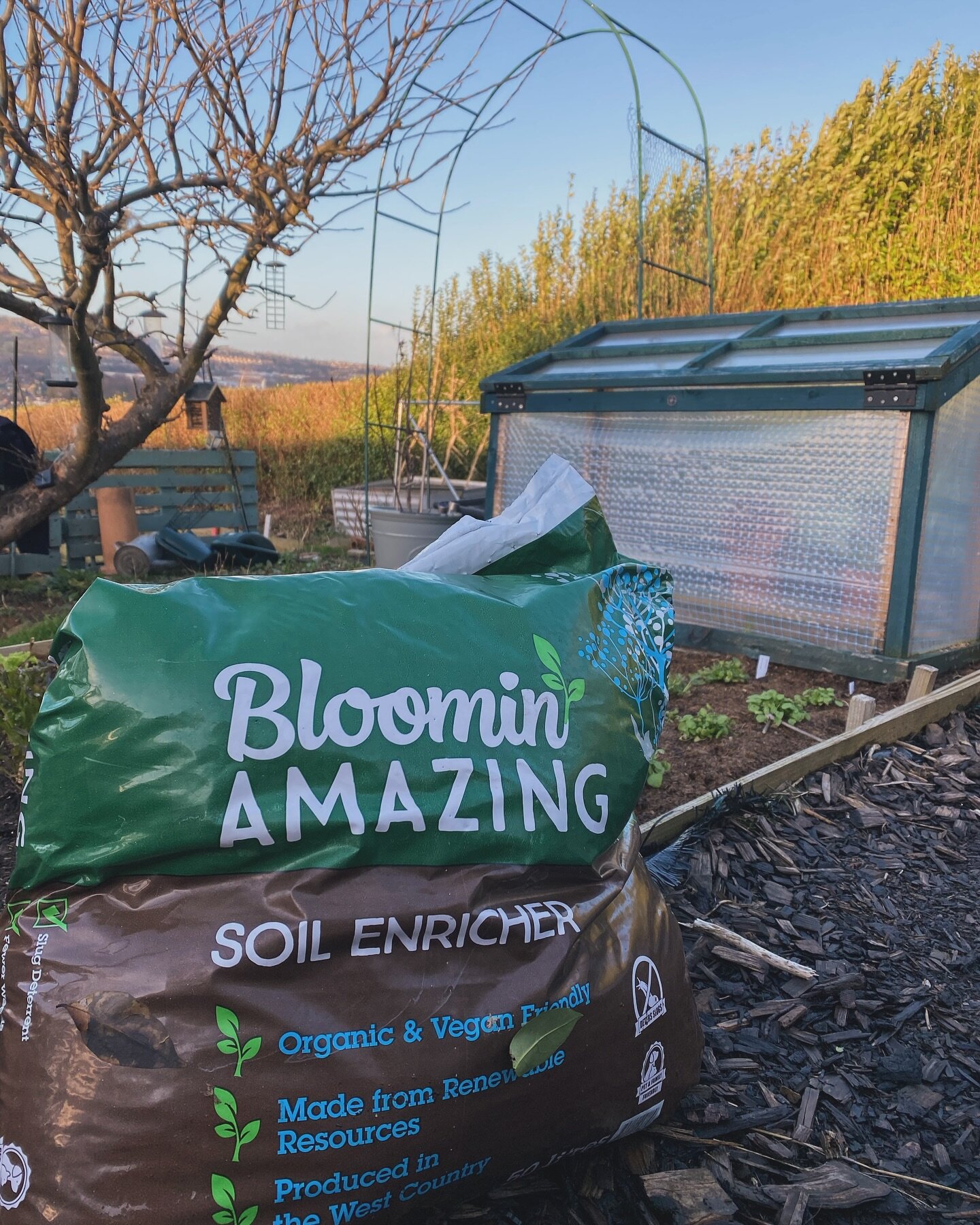 Frosty mornings ✨

#mulching #mulch #organicgardening #peatfree #vegangarden #feedthesoil #gardenbloggers #easygardening #homeandgardens #newallotment #homegrownveg #gardeningmoments #urbanorganicgardener #allotmentgardening #allotmentnewbies #allotm