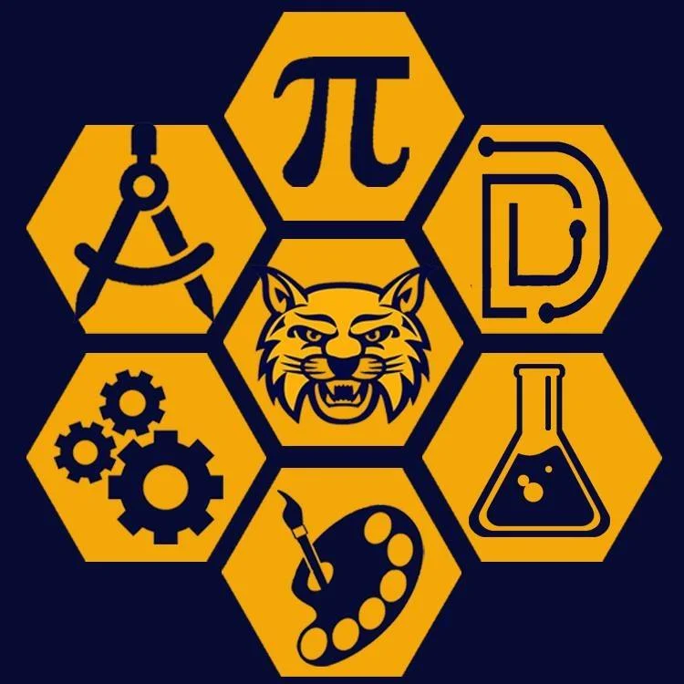 DGL at Camp Wildcats: Full STEAM Ahead!