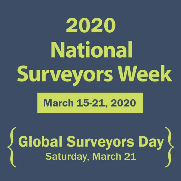 Global Surveyor Day