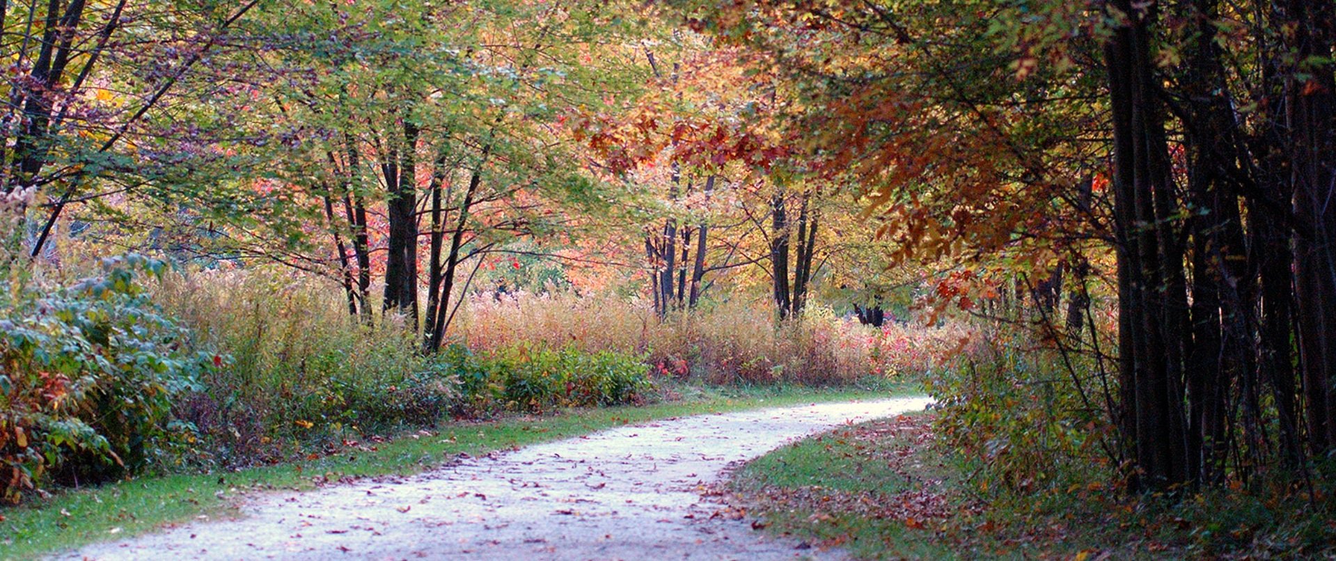 parks+and+rec+trail.jpg