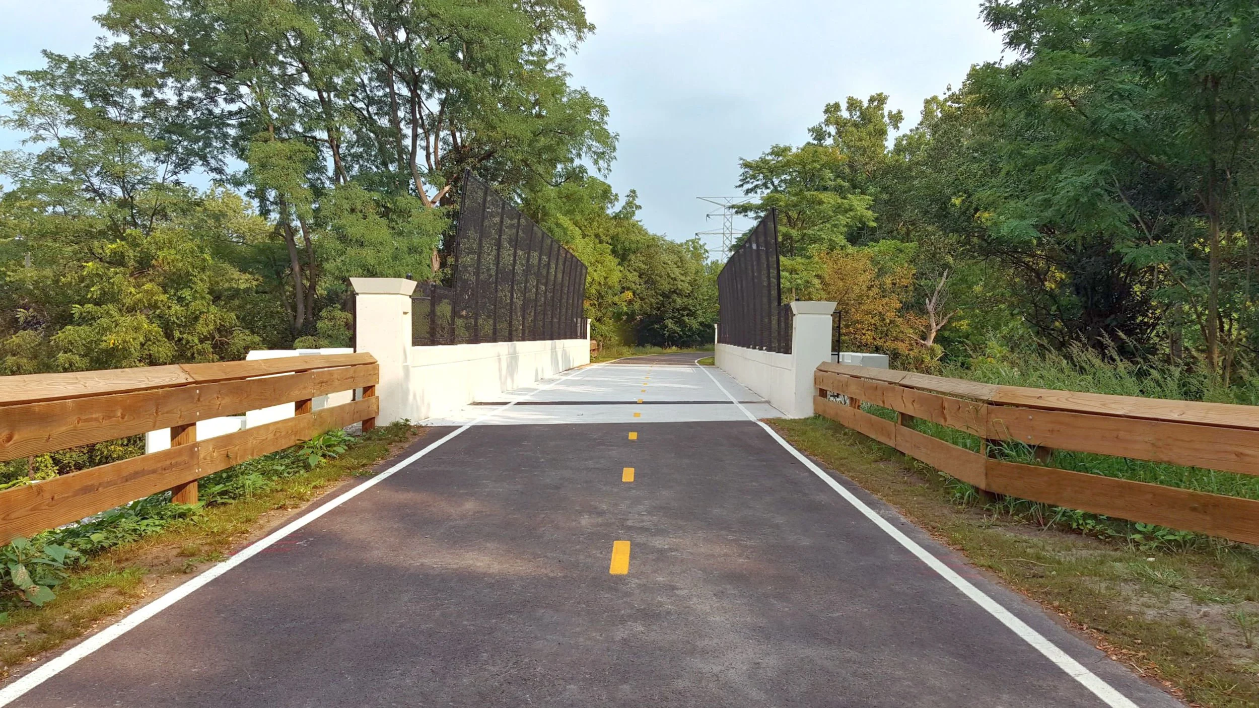 Chessie+Banner EDIT Web.jpg