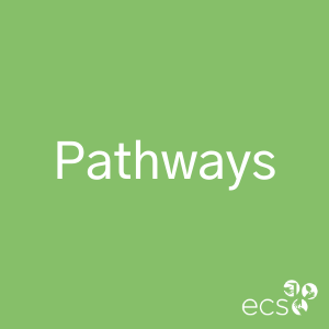 Science, Technology, Engineering &amp; Math Pathway (STEM)