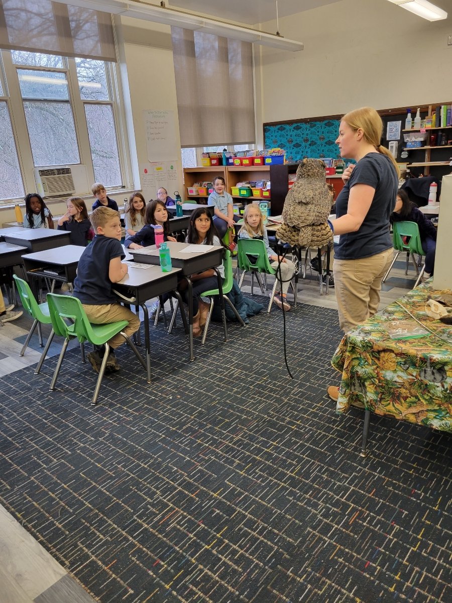 3rd_Grade_Zoo_Mobile_3.jpeg