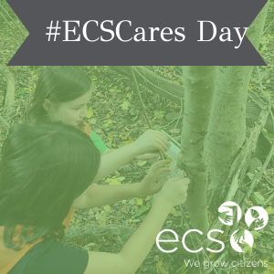 #ECSCares Volunteer Sign Up 2025