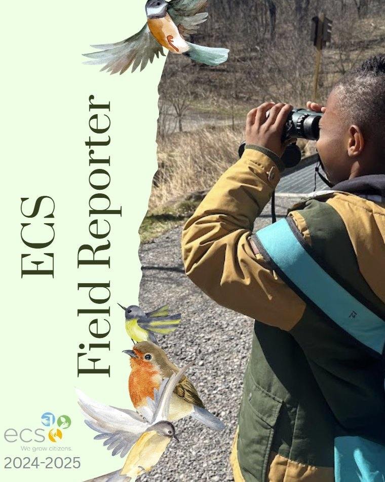 💡 Did you know that ECS Intermediate created their very own magazine highlighting some of the experiences, curious questions, and creativity sparked by their Frick Park Field Studies? 🌱✏️

🔎 Check out the ECS Field Reporter now! 

View here: https