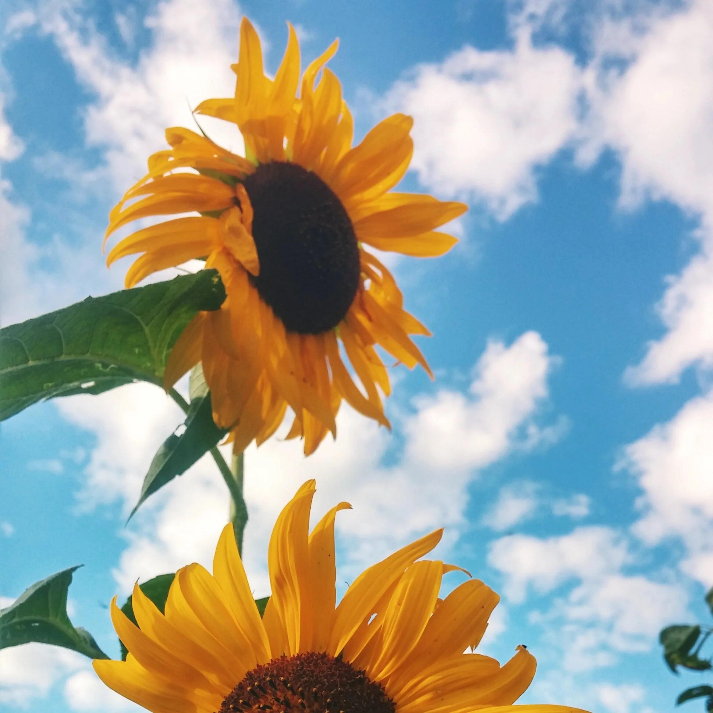 Five Ways To Build Self-Confidence