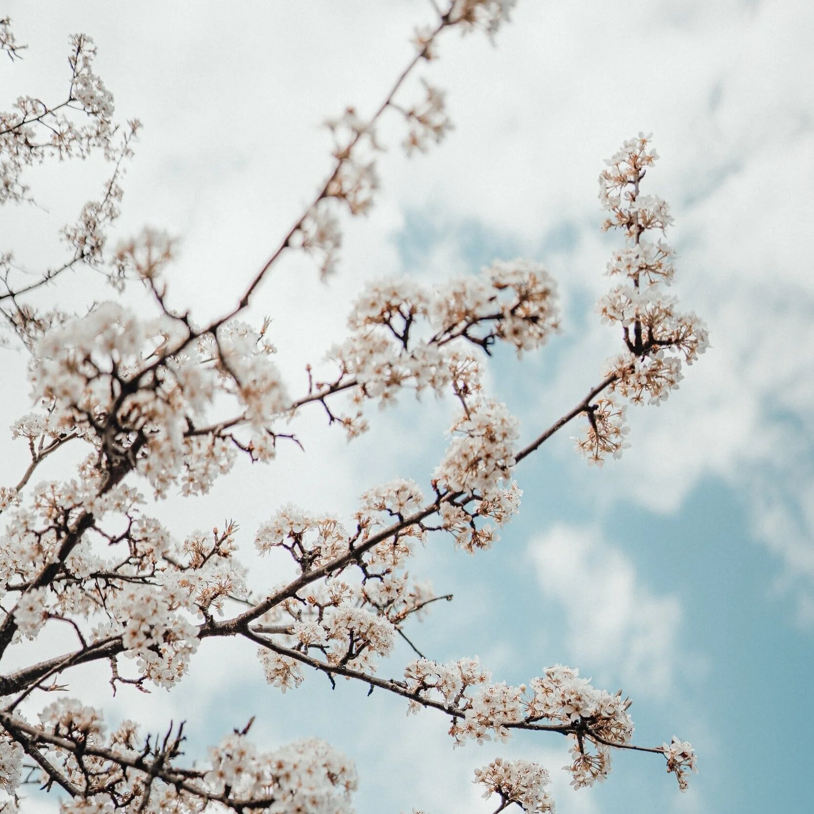 4 Ways to Process Your Feelings