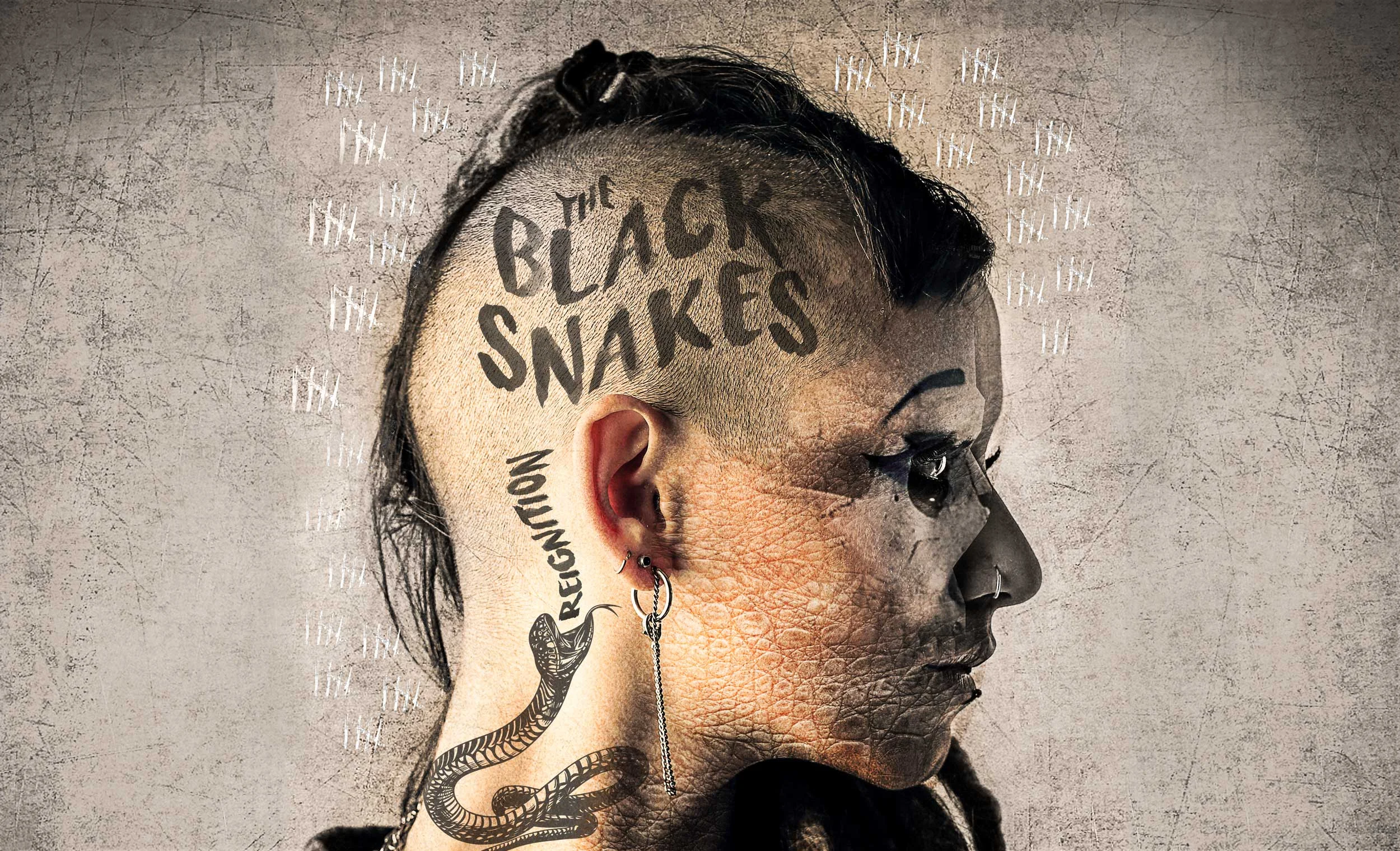 Black-Snakes-Website-Cover.jpg