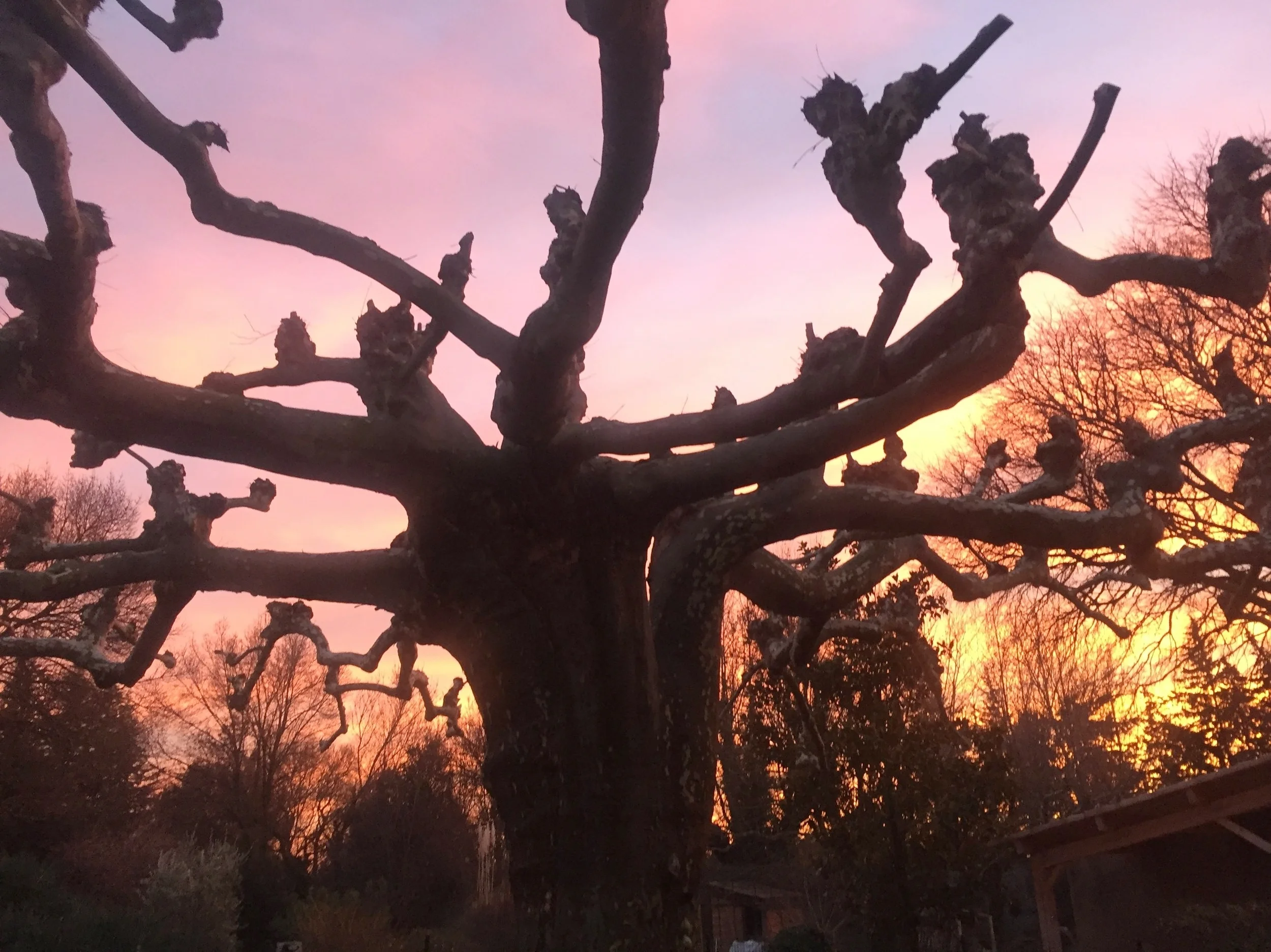 On Stress, Sleep and Rhythm