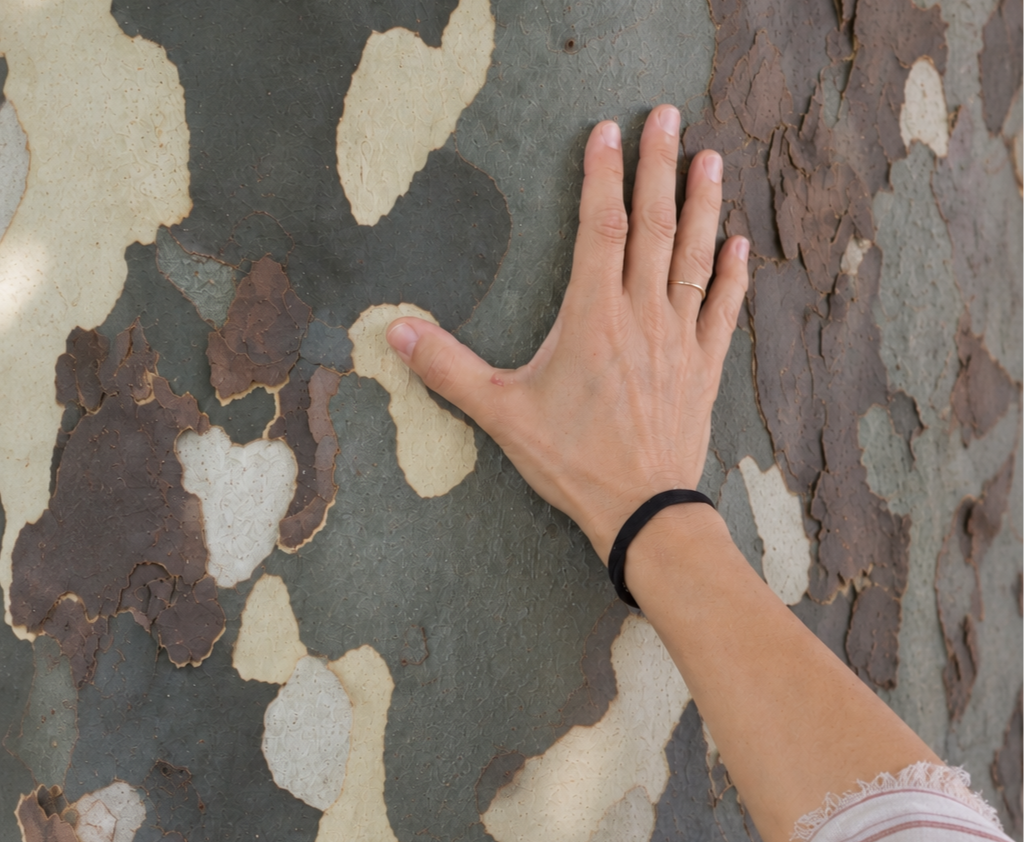 Hand Resting on Textured Tree Bark.png