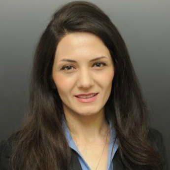 Nasim Moghaddasi, Supervising Engineer, WSP