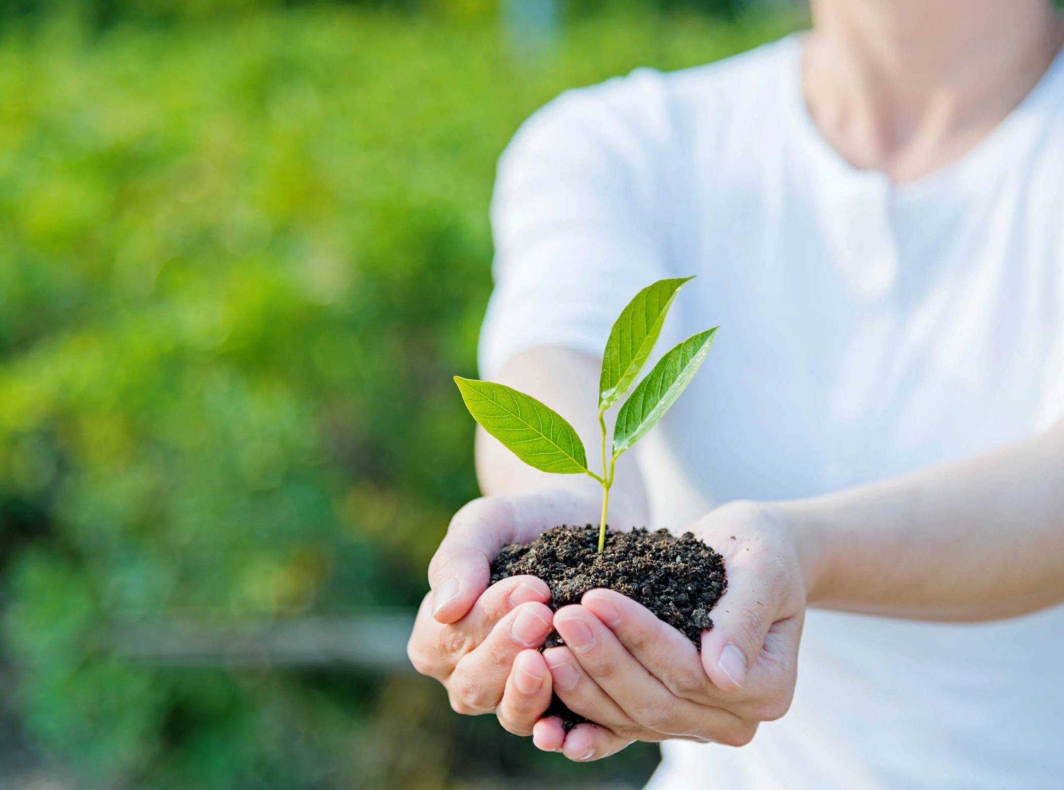 Case Study: Environmental Impact Assessments  - Proposed Potash Mine