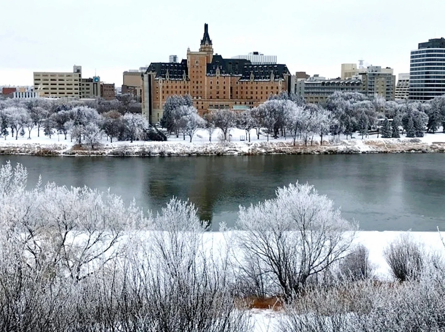 Case Study - City of Saskatoon.jpg