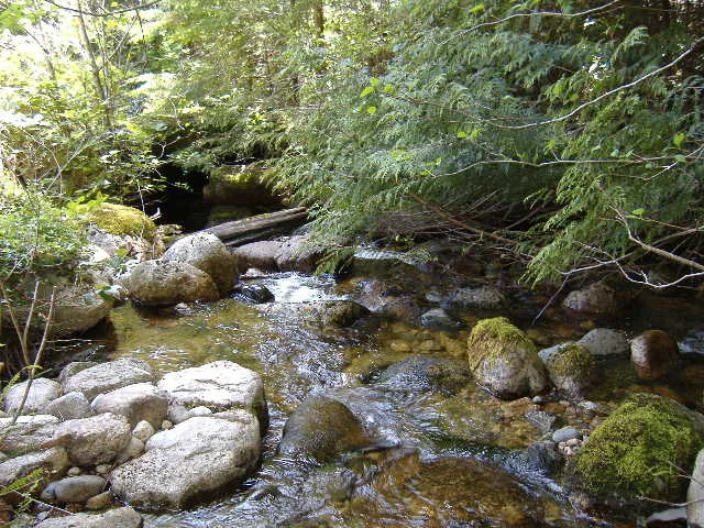 crystal creek.jpg