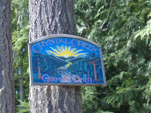 CC tree & sign.jpg
