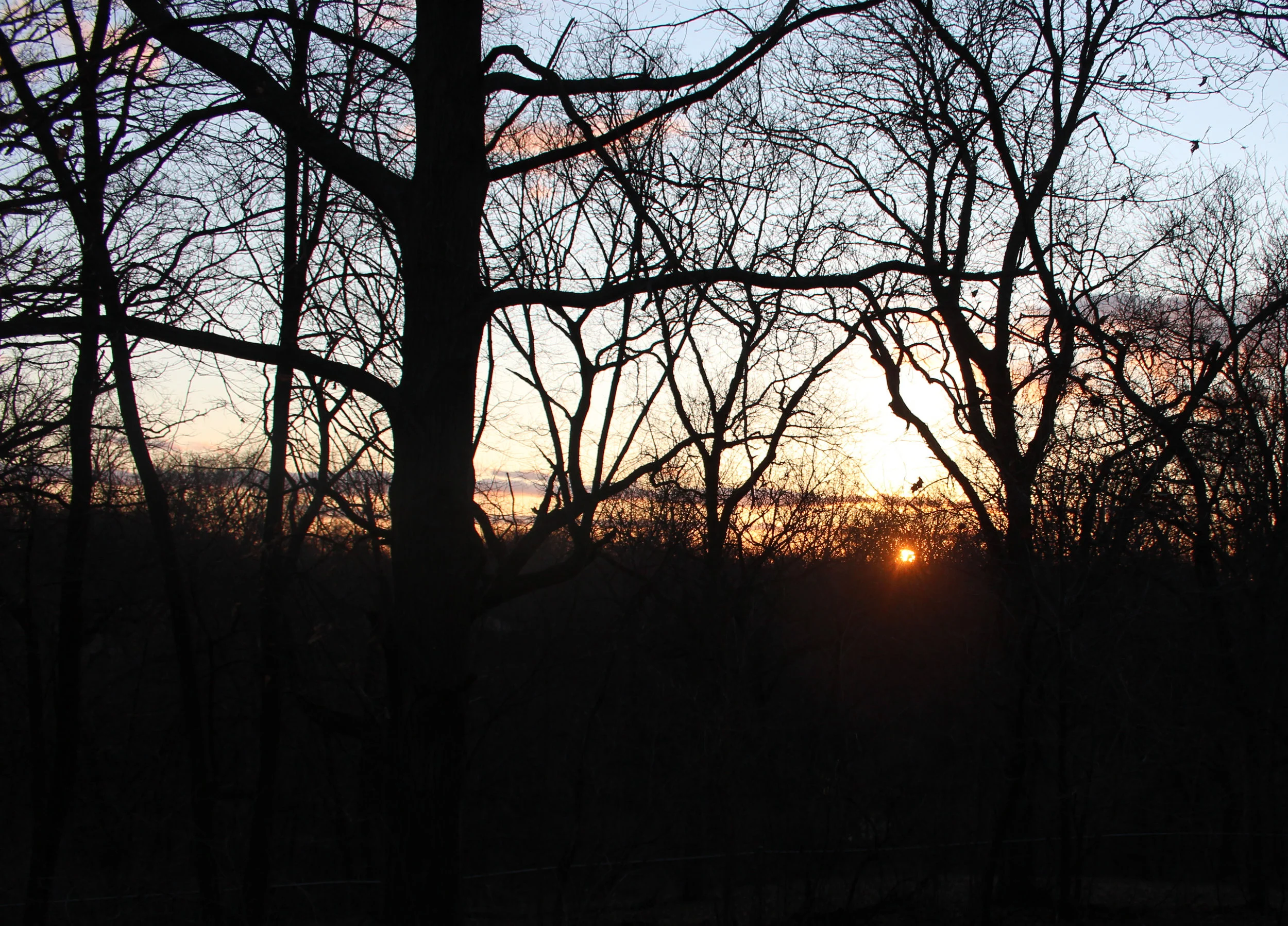 I believe in unicorns