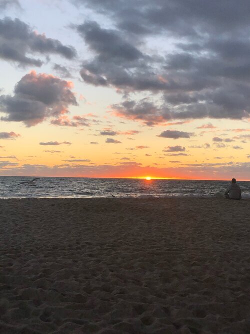 Almost Gone but Never Forgotten