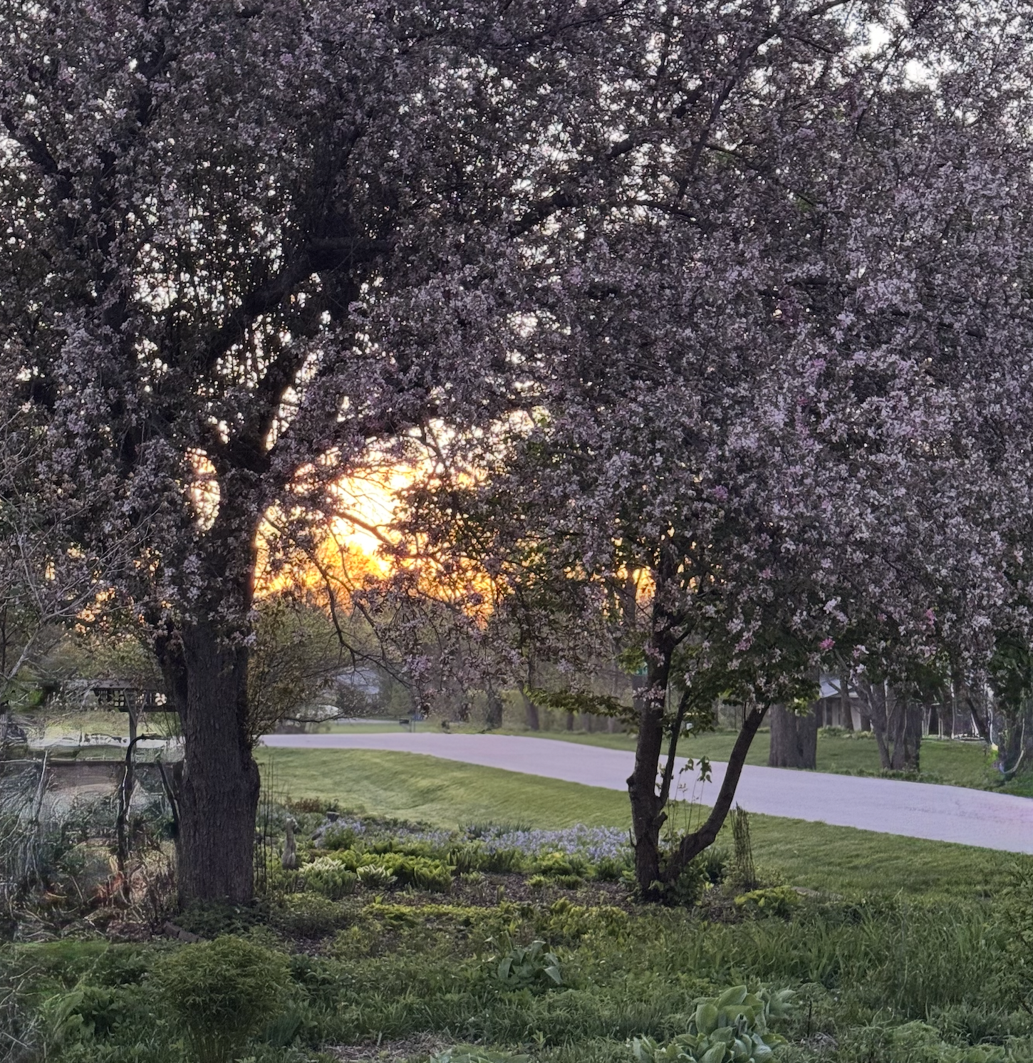 The Quiet Work of Choosing Well