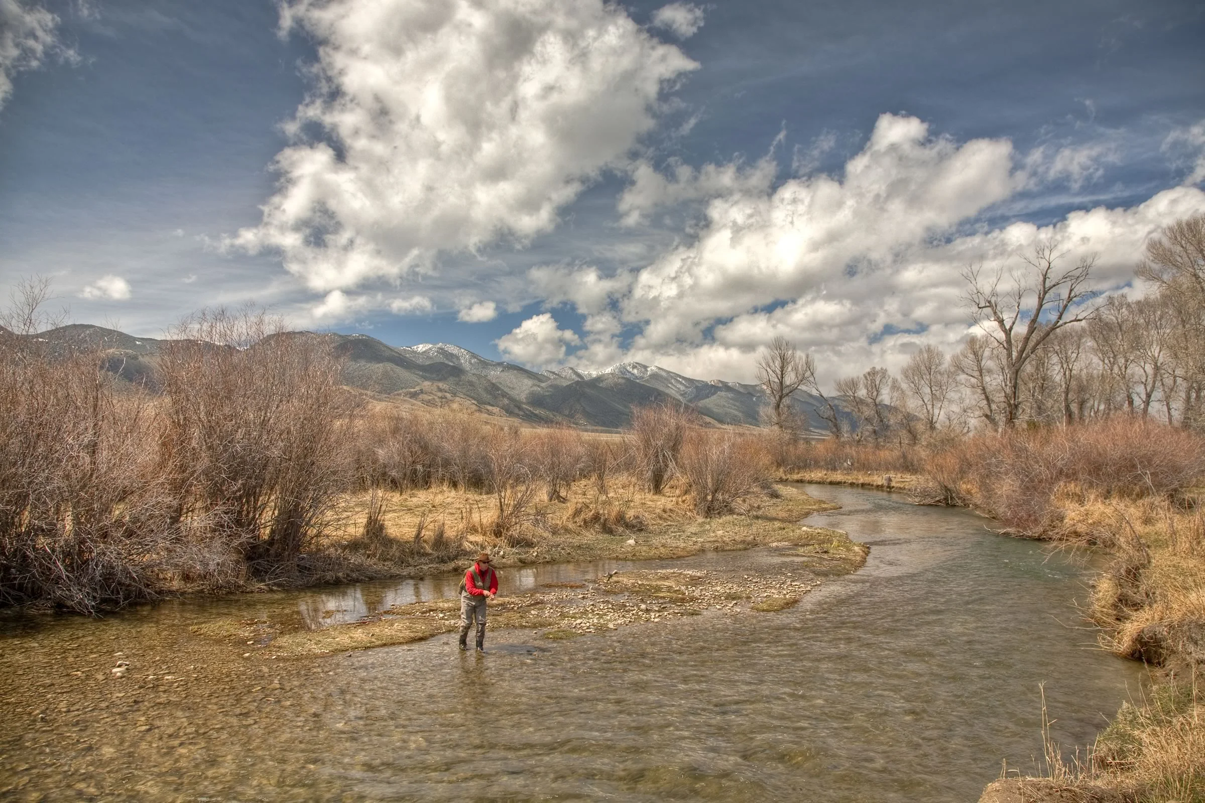 Ruby River in Spring_1_Apr_2009-2400.jpg