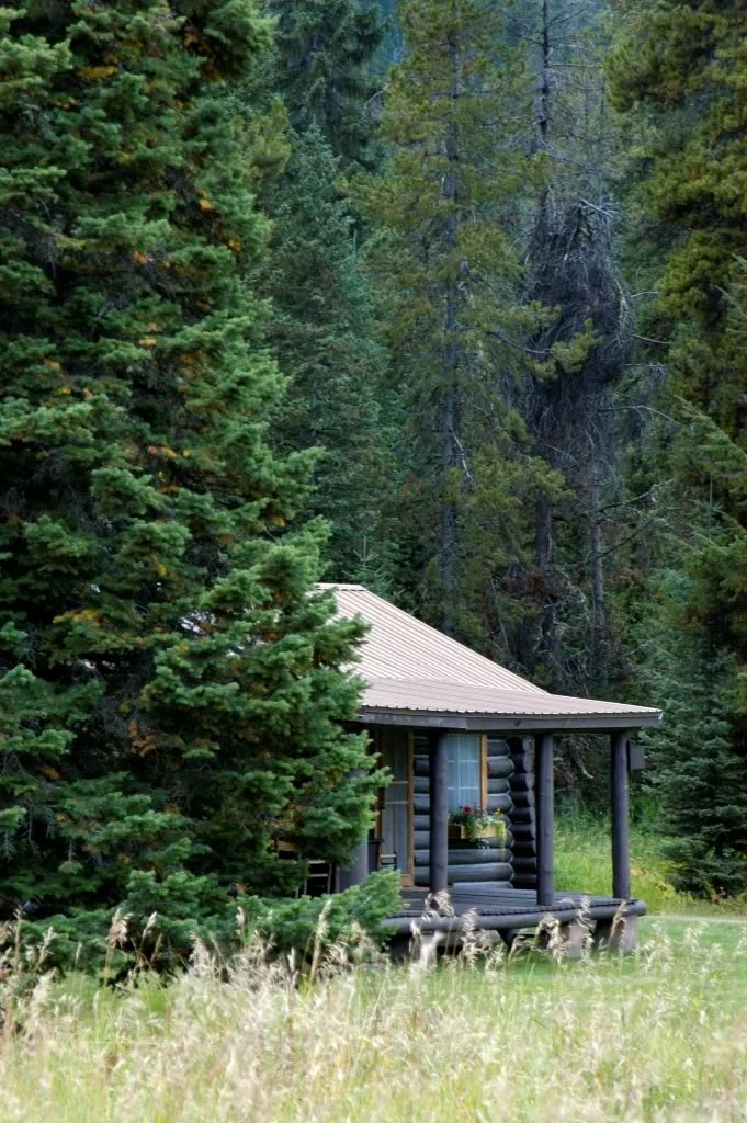 Your cabin tucked away in the lodgepole pines.