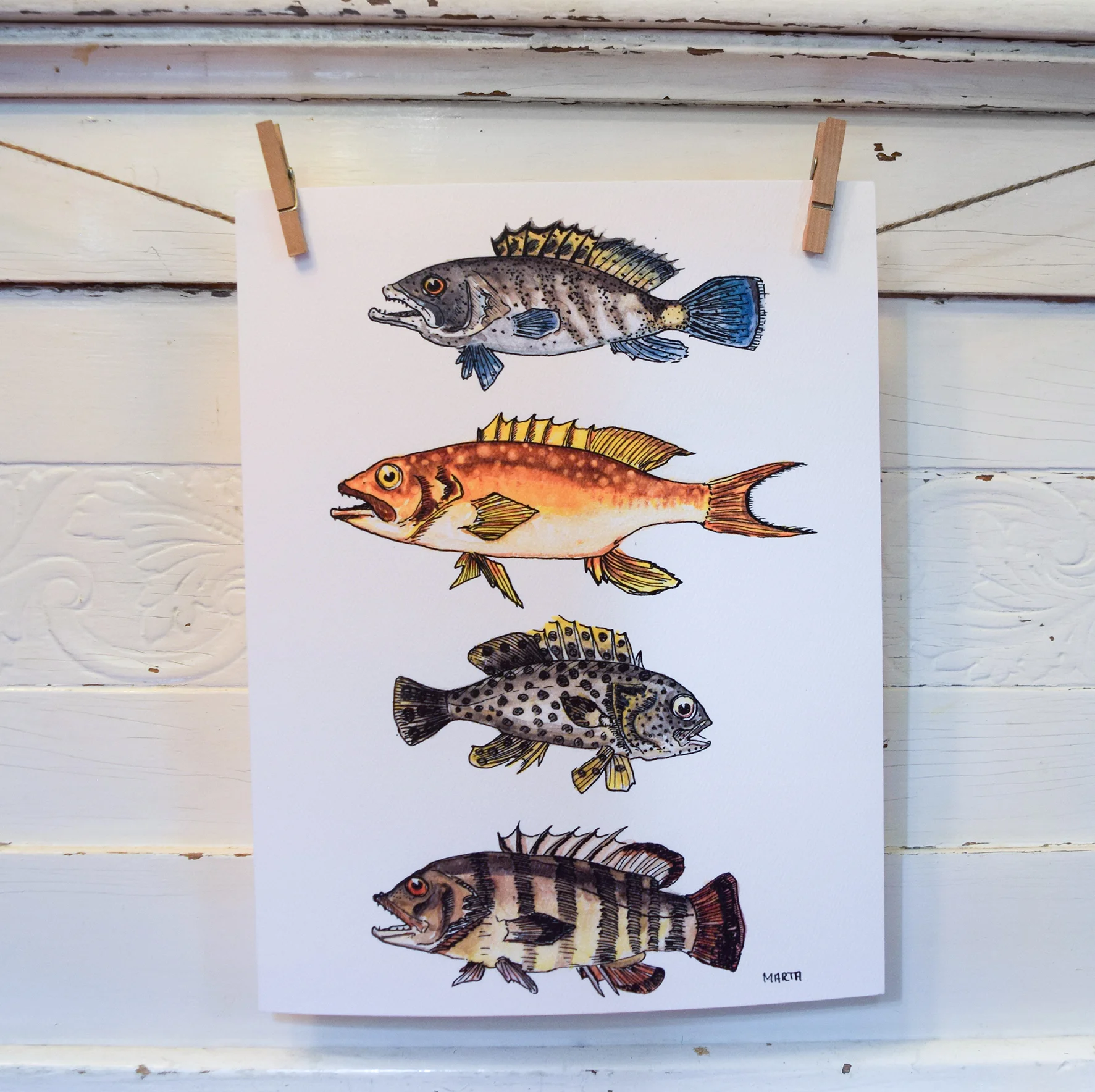 2017 ETSY PRINT Fish (large white) small.jpg