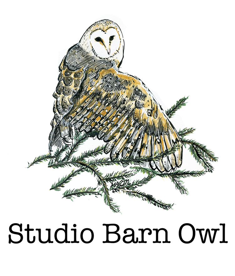 Studio Barn Owl