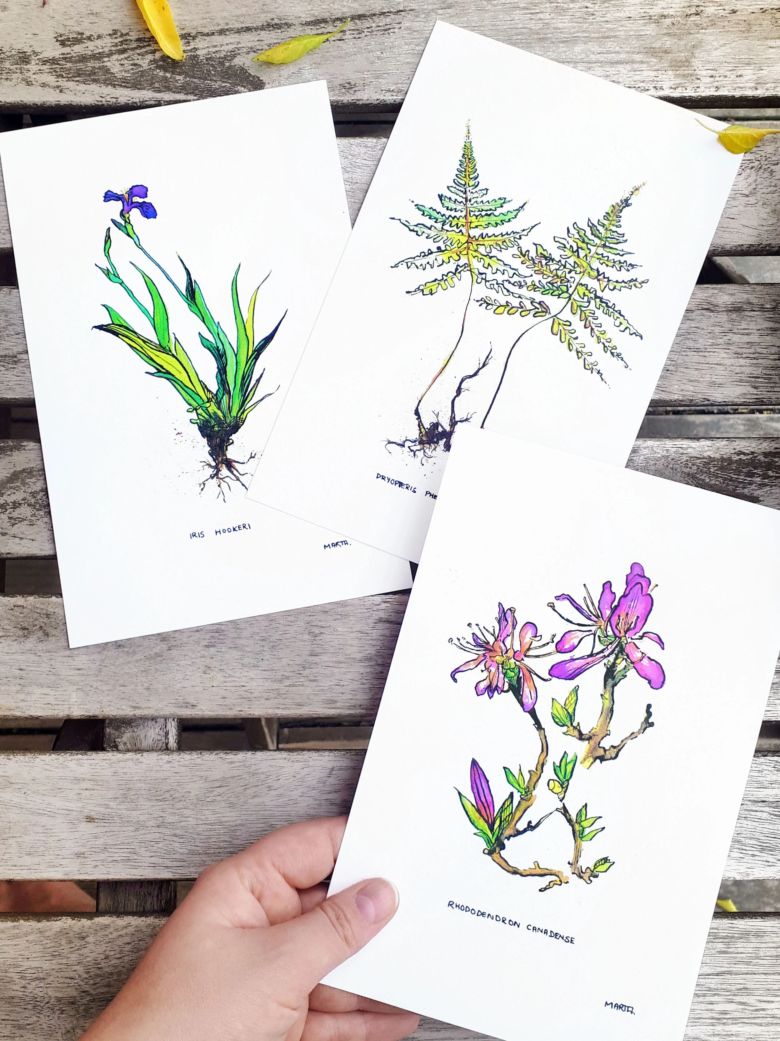 Etsy Promo Photo Botanical Prints x3.jpg