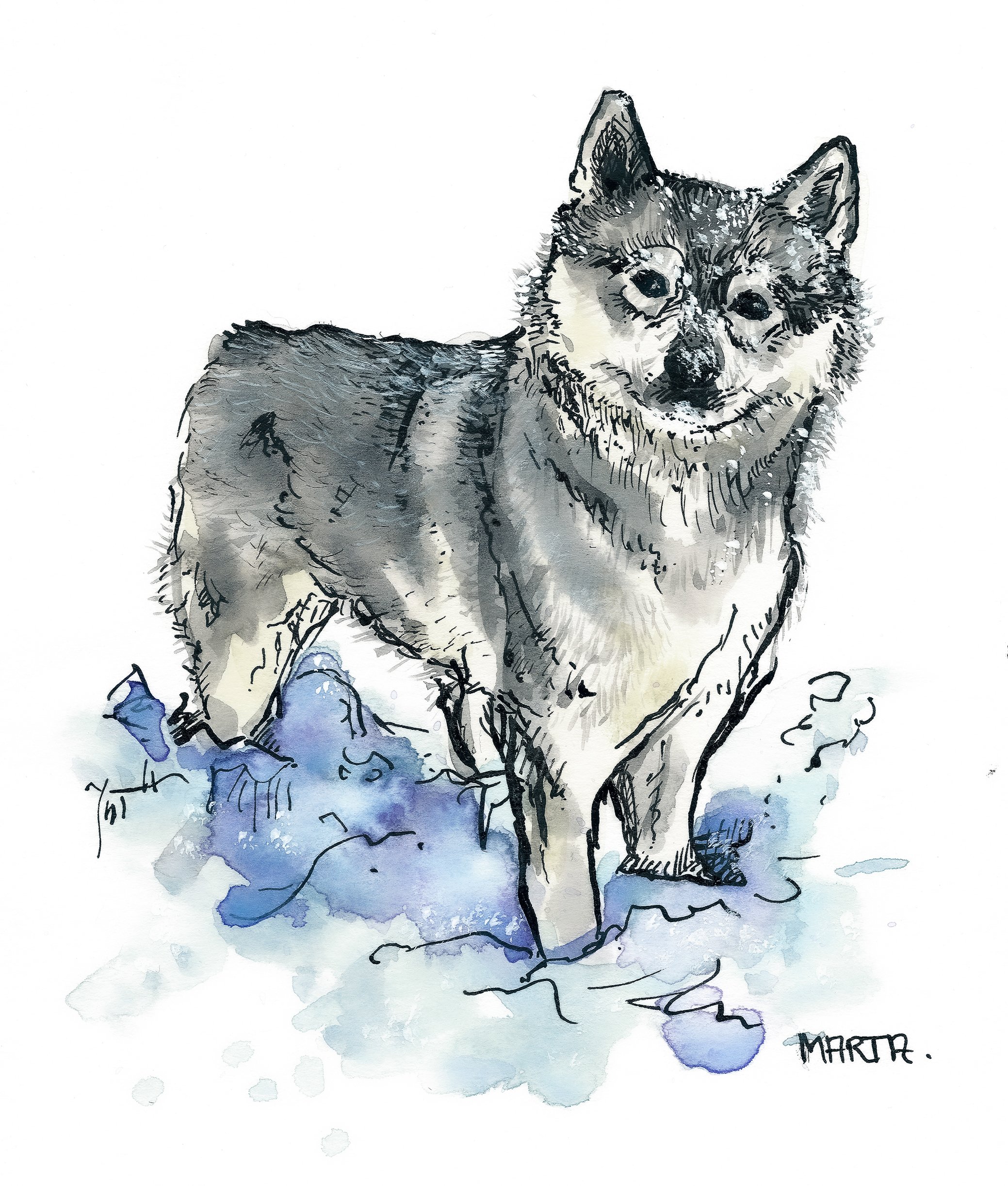 Husky Pet Portrait.jpg