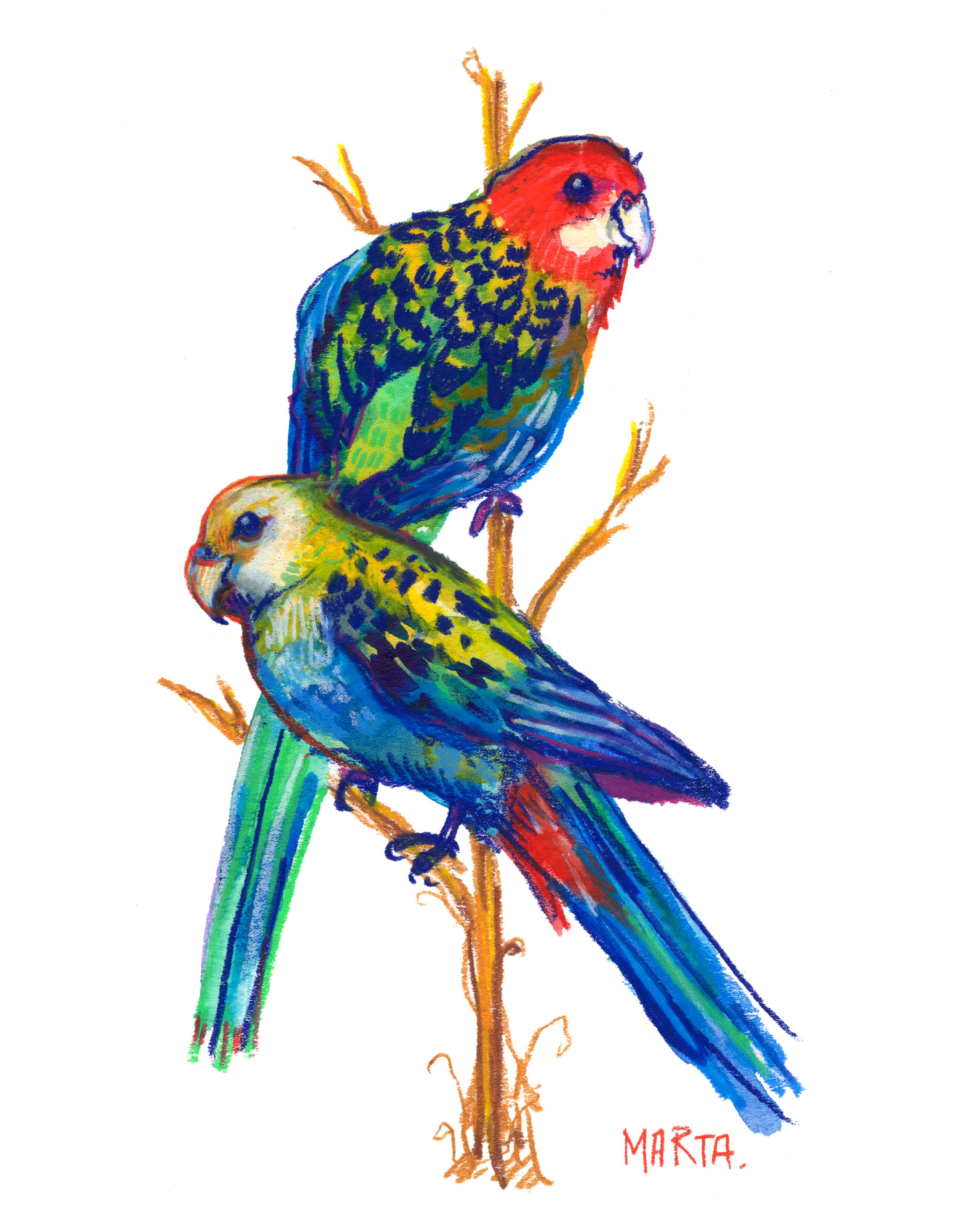 Creative Guts Contribution - Rosellas IG post.png