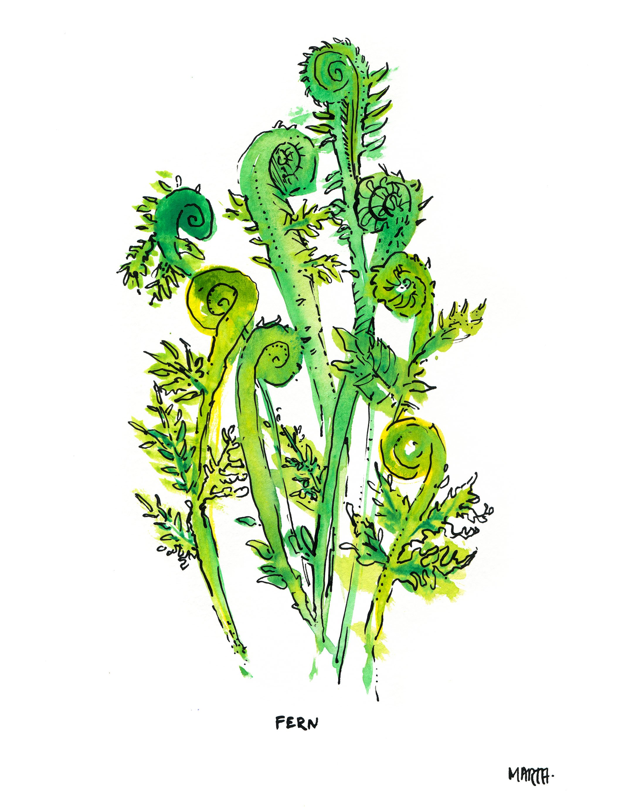 2019 Paleoctober Day 29 - Fern IG post.jpg