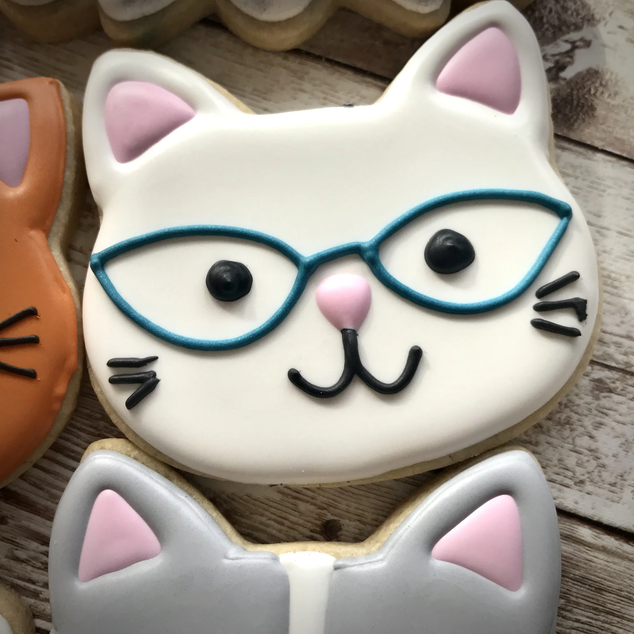 IMG_5924 9.49.33 PM.jpeg