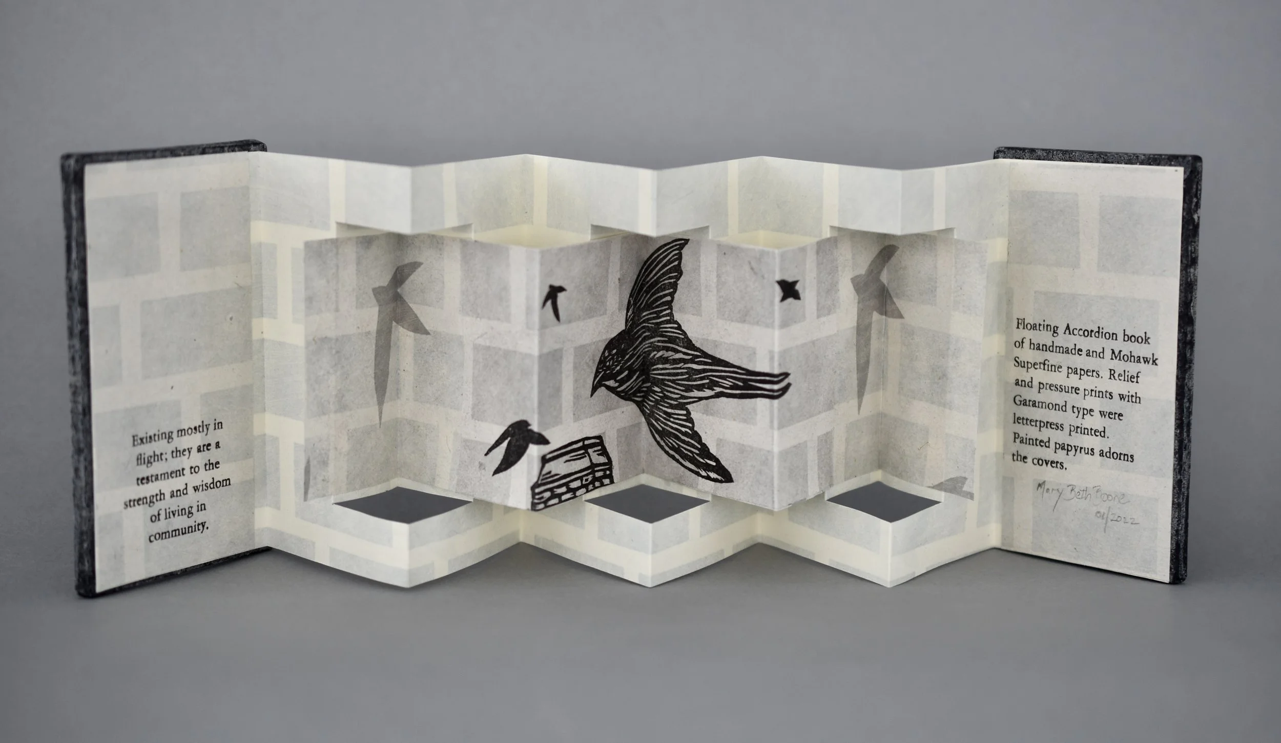 February - March 2023: The Illustrated Accordion