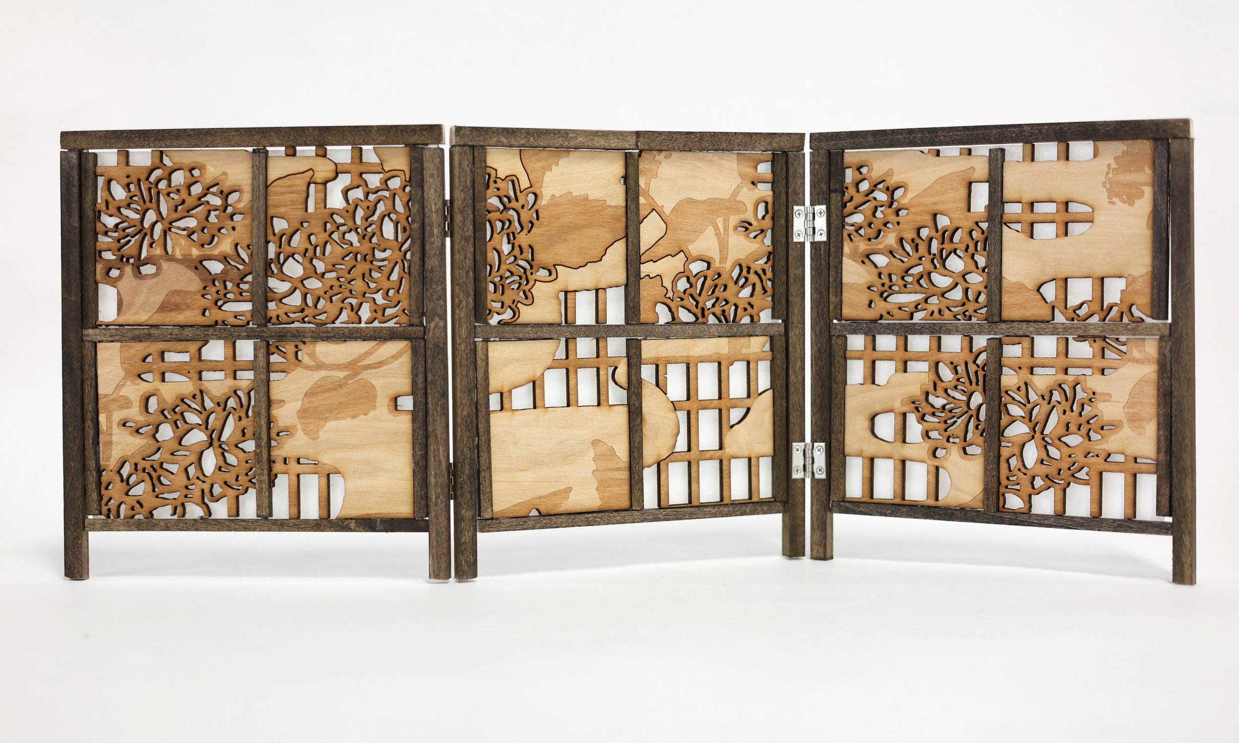 February - March 2027: The Illustrated Accordion 