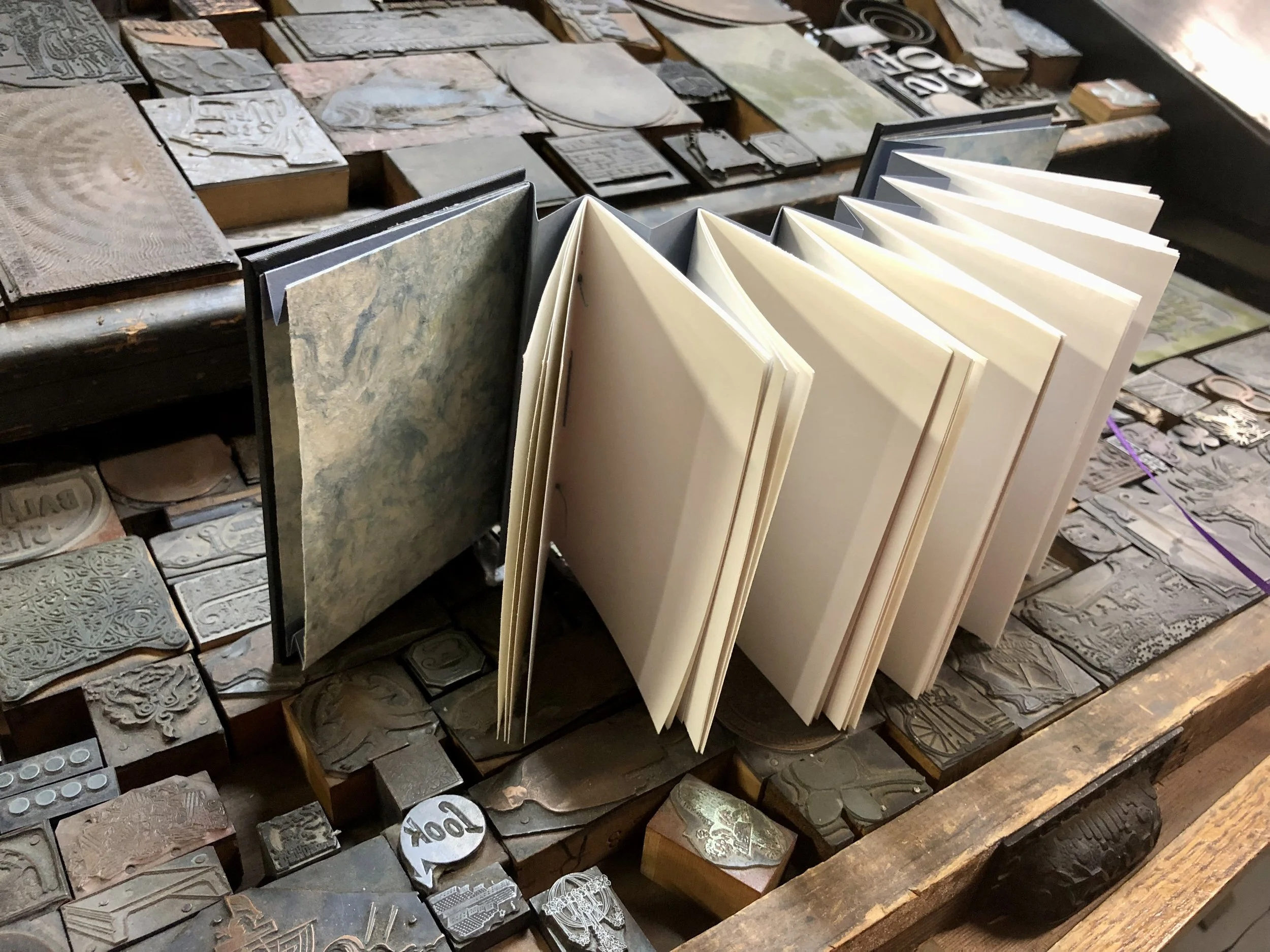 KBAC_Concertina Journal_Stickney_4.jpeg