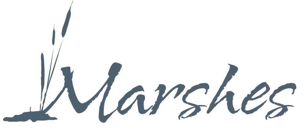 Marshes+Logo+Website+Ready[1].jpg