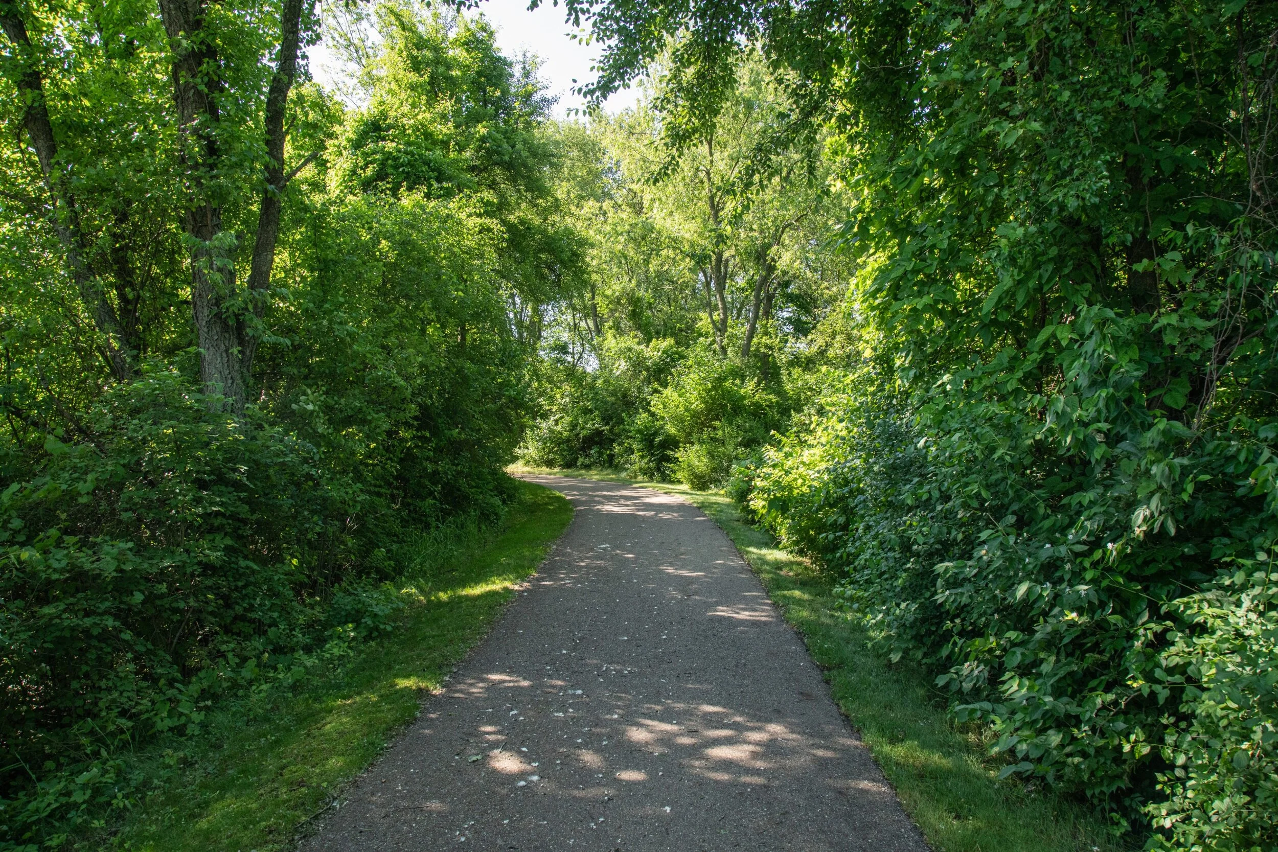 community walking trails (Copy) (Copy) (Copy)