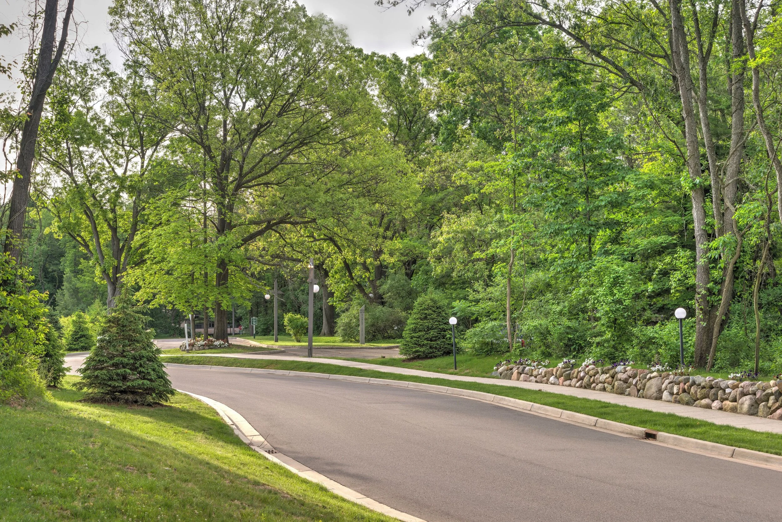Wooded streetscape.jpg