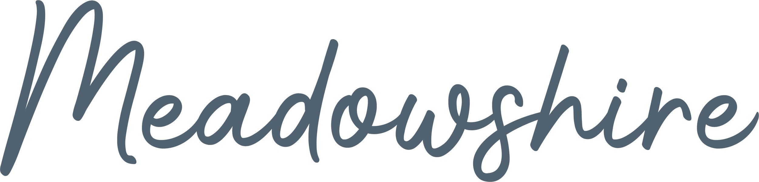 Meadowshire Logo FINAL.jpg