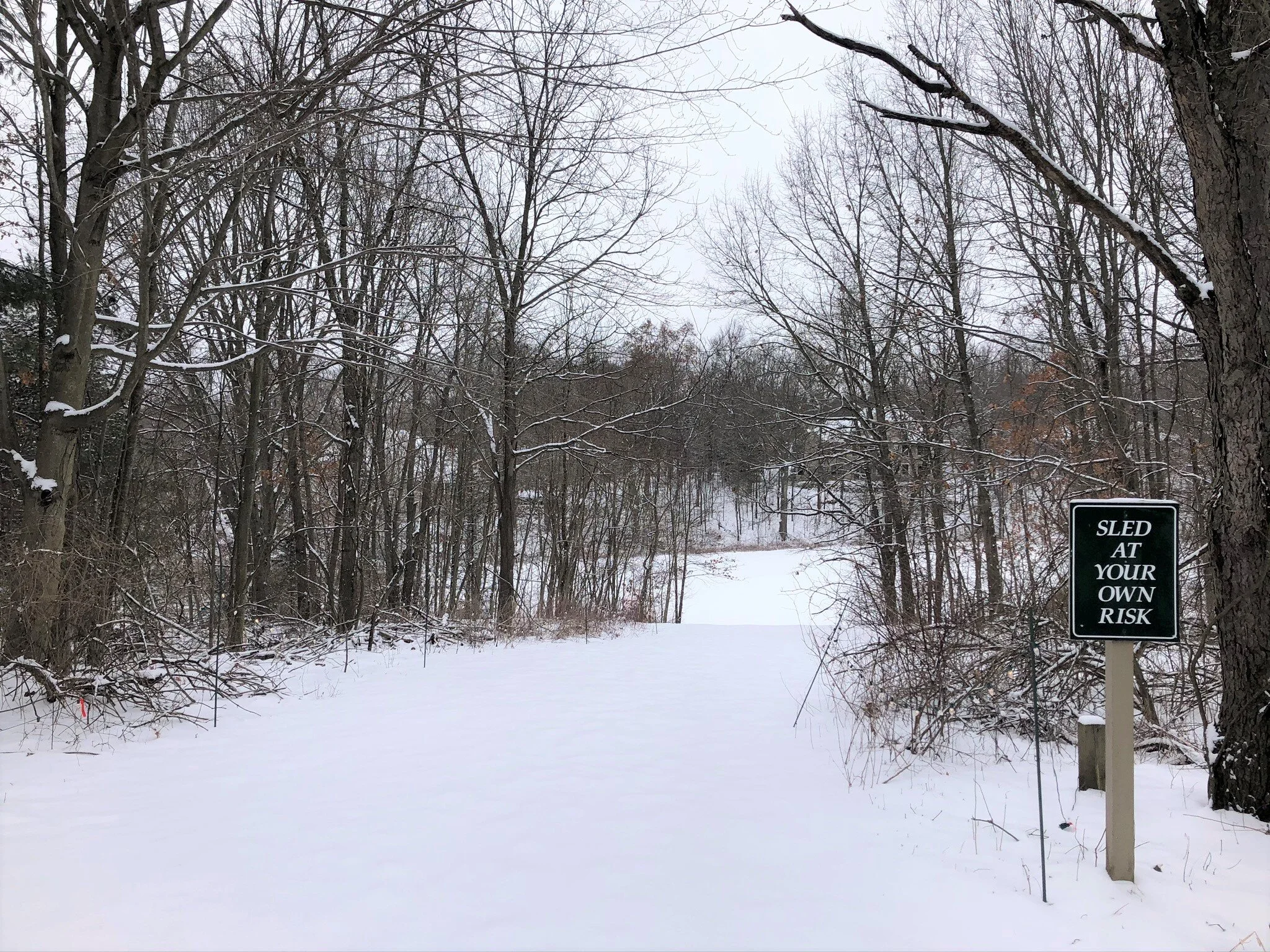 Sledding hill 1.jpeg