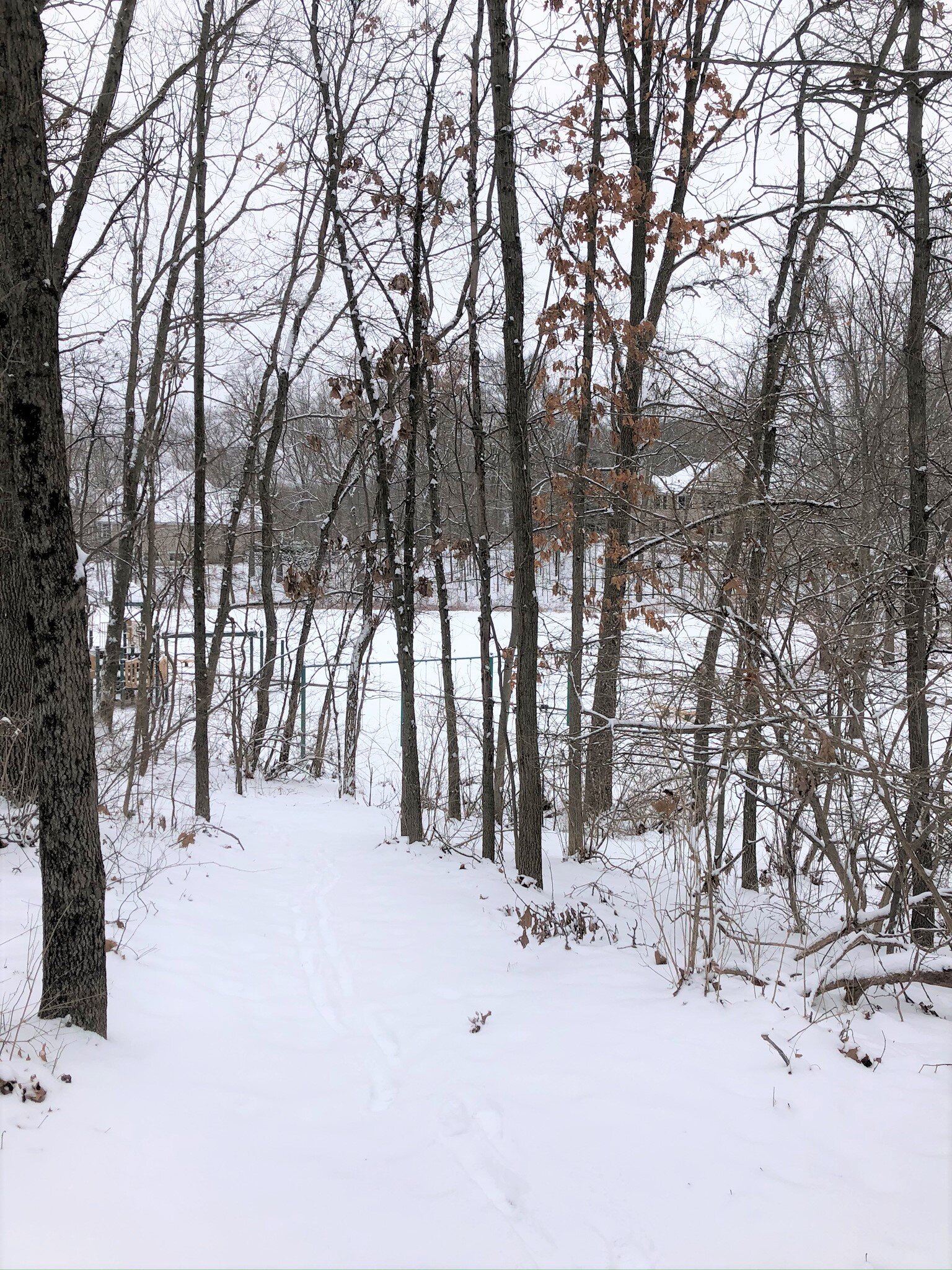 Walking trail 7.jpeg