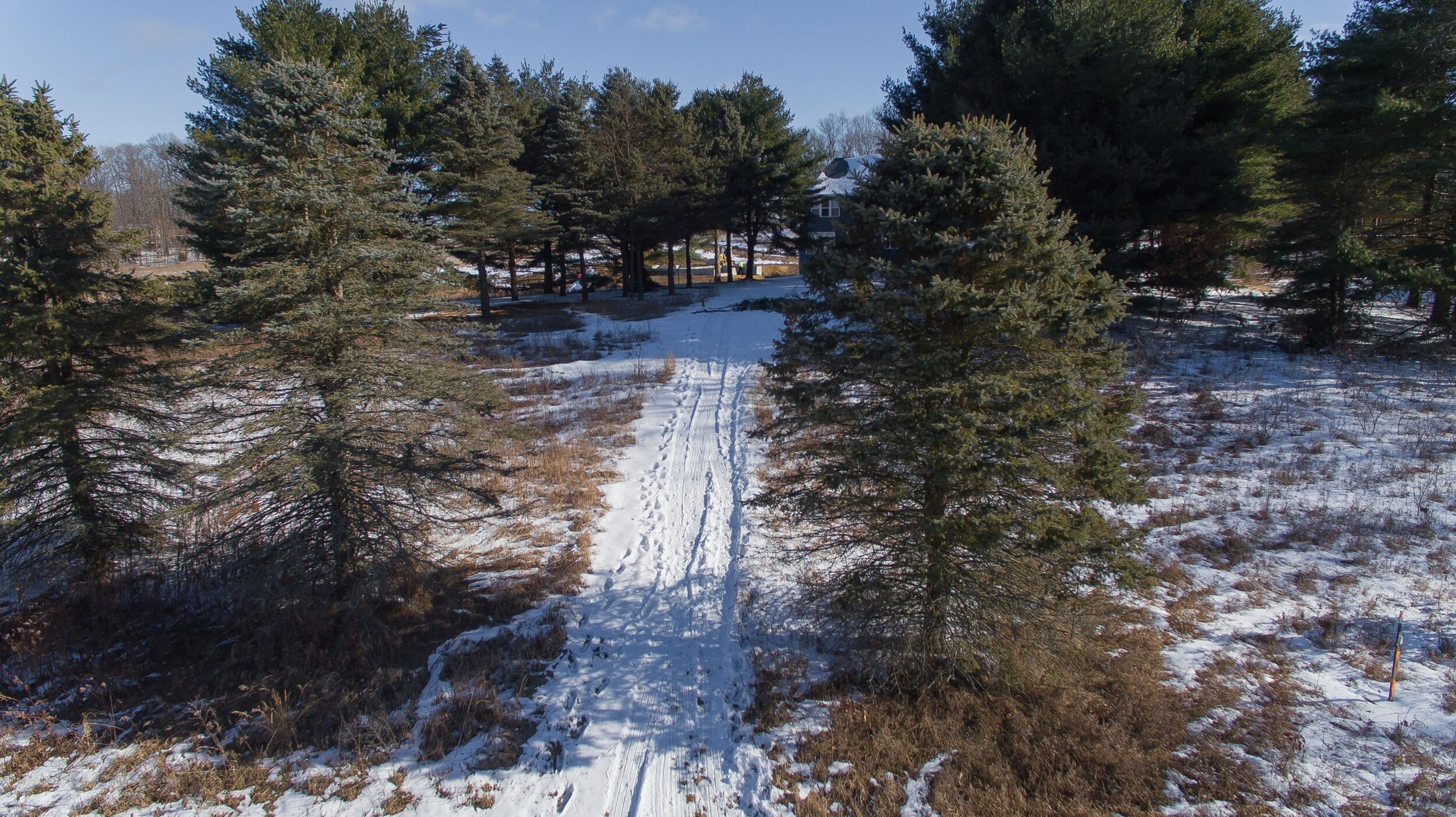 Marshes_Winter_Drone shot_Path from home.jpg