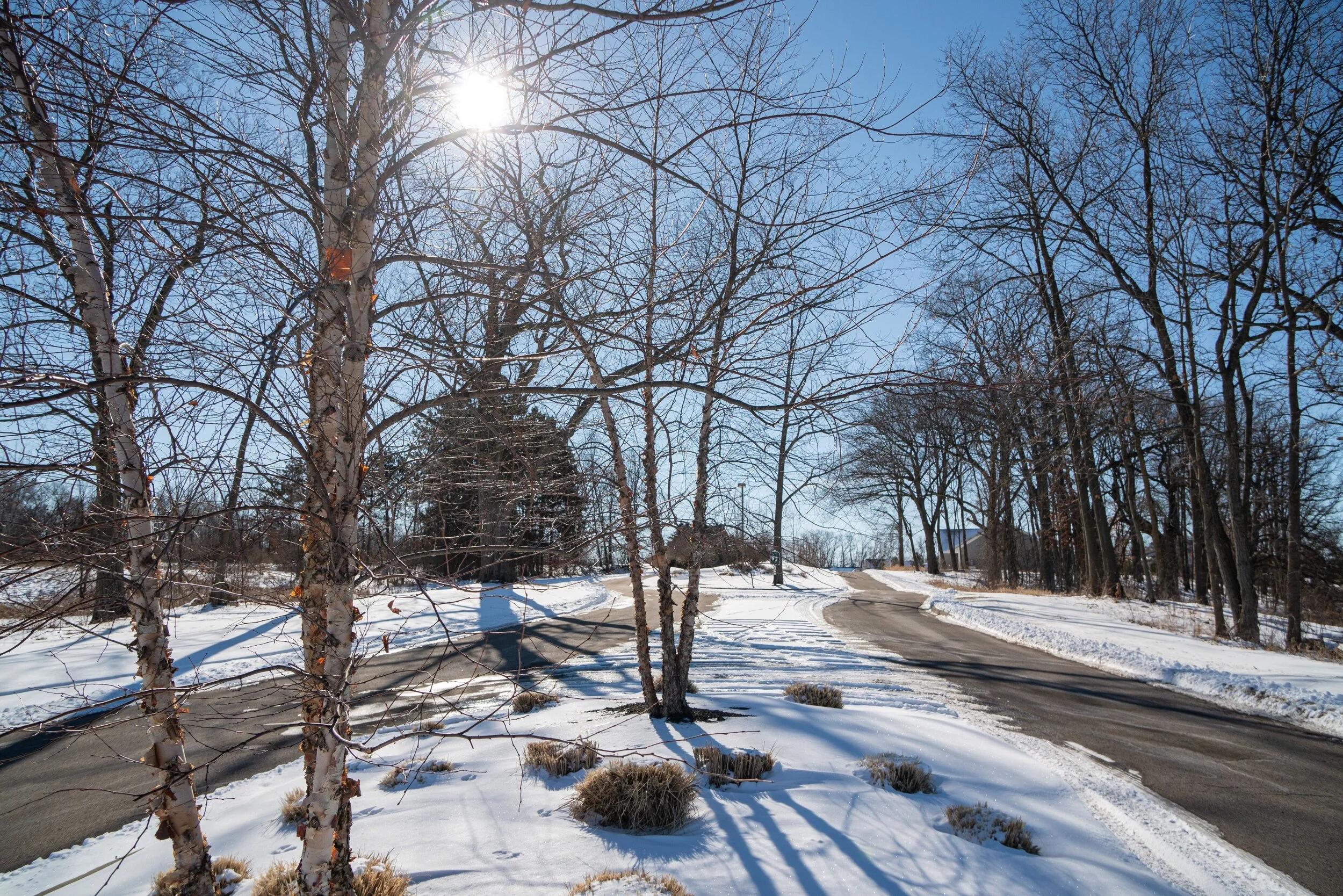 Angels Crossing_Winter_Boulevard.jpg