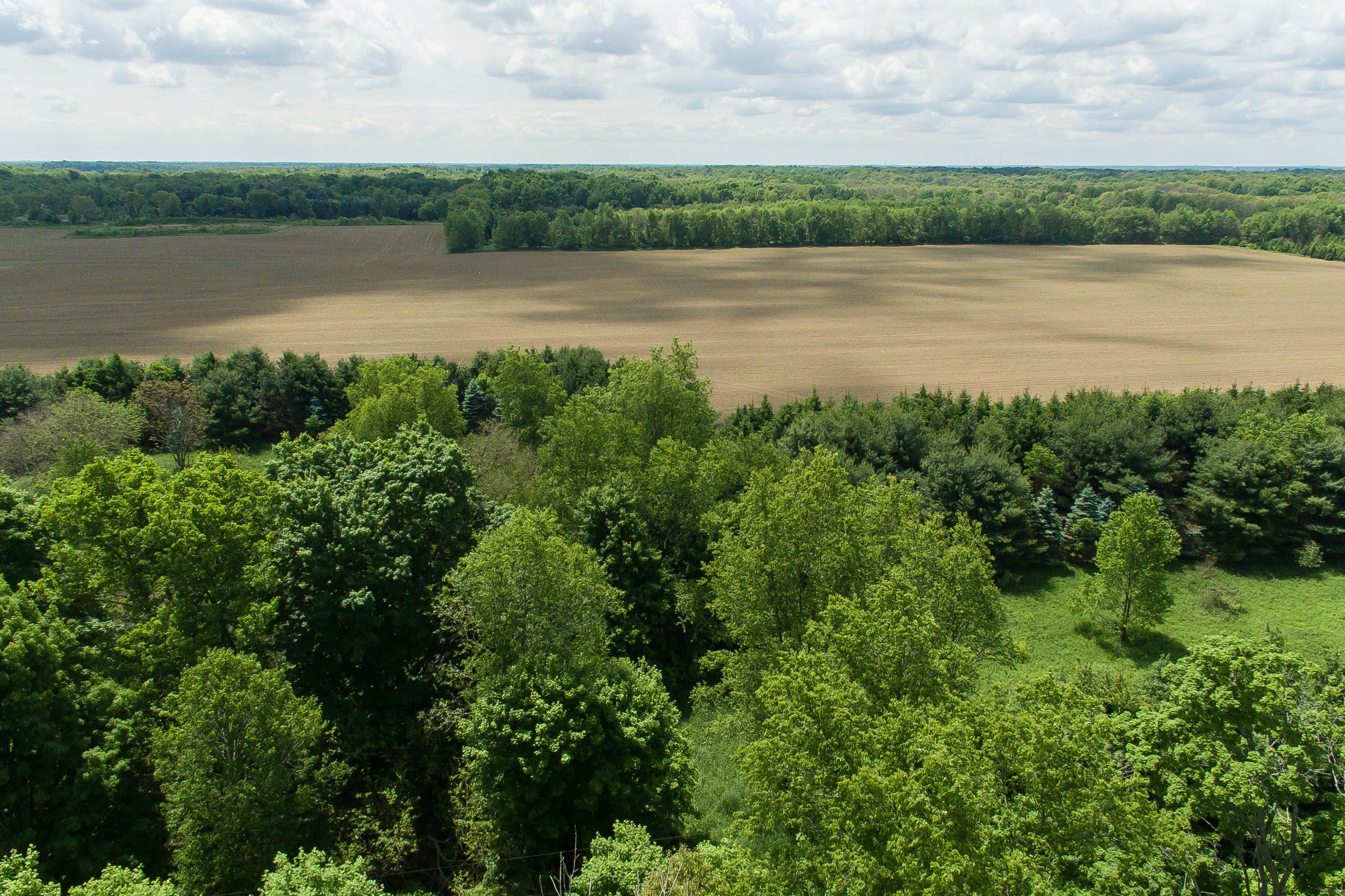 Meadowshire_Drone shot_Trees and field 1.jpg