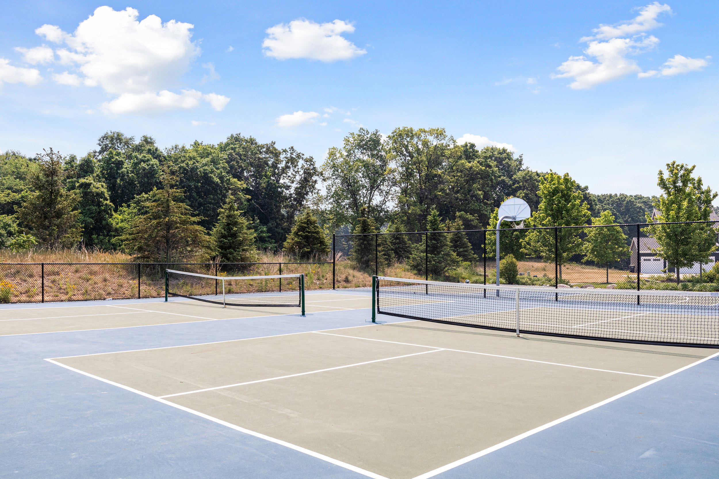 TS Pickleball Courts (2).jpg