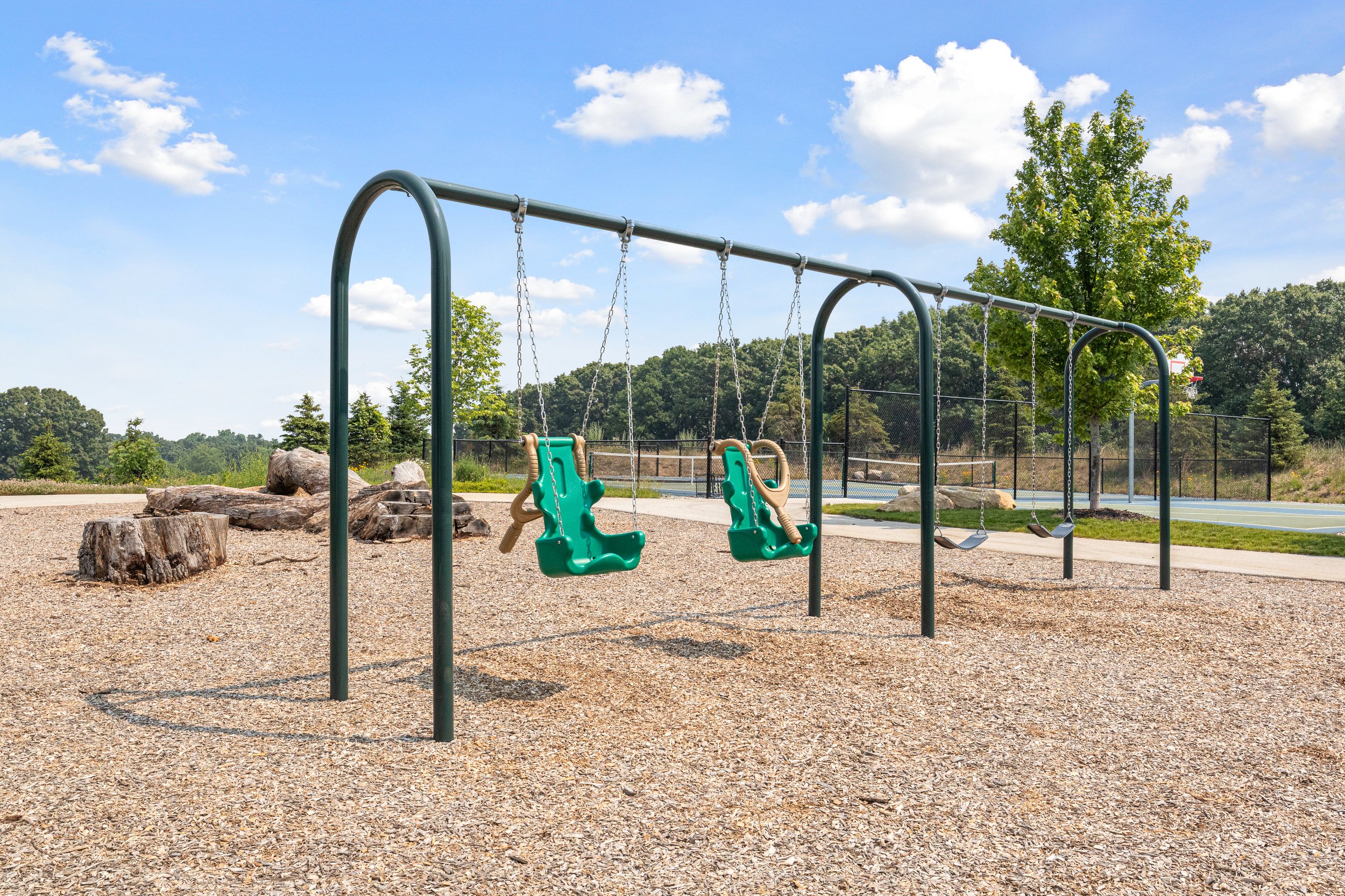 TS Swing Set.jpg